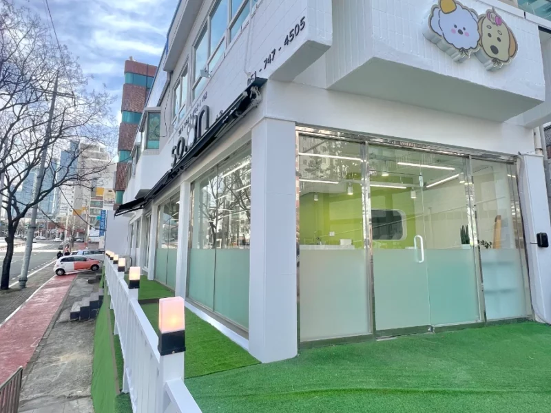 (애견호텔,카페,미용, 호텔, 유치원)양도/자리양도