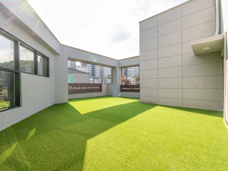 경기 광주 애견 반려견 유치원 호텔 미용 용품도소매 양도 합니다