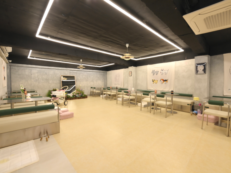 송파구 실내 애견카페 양도합니다.