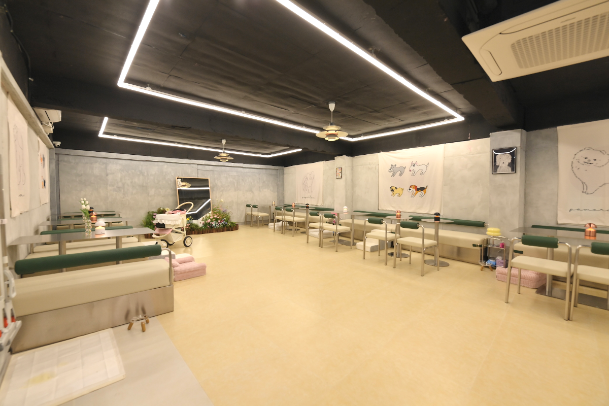 송파구 실내 애견카페 양도합니다.