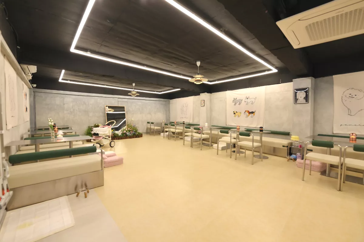SUK_8407