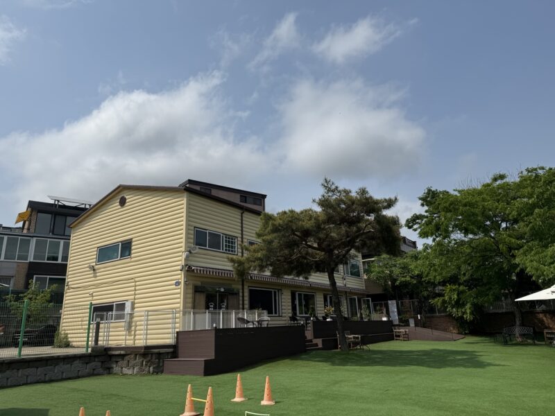 서울접한 고수익률 고양 [최고급] 애견카페 매매합니다.