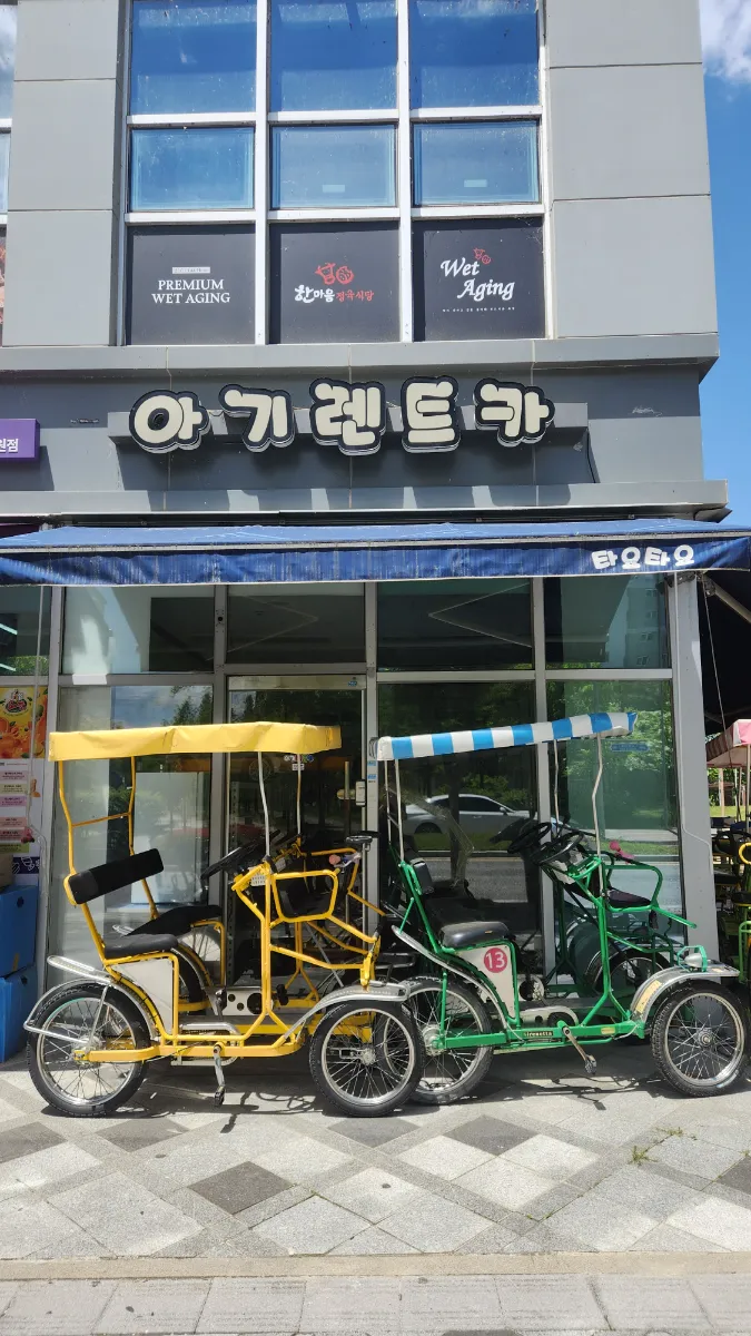 세종 수변공원 전동차 대여점 양도합니다.