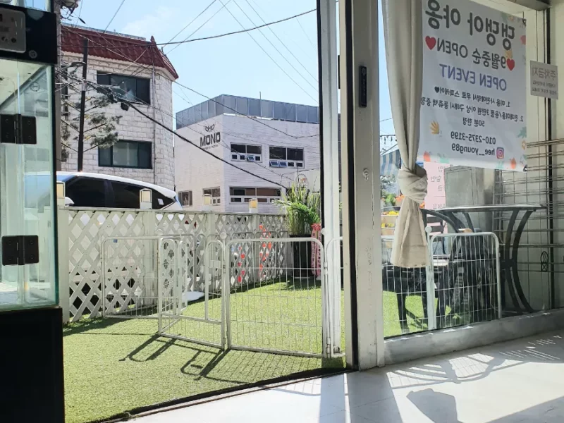 인천 애견미용실 양도양수 합니다