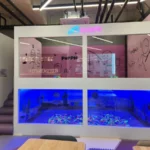 낚씨놀이