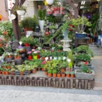 20180510_105219
