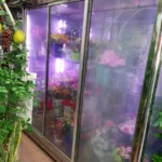 20180510_105246