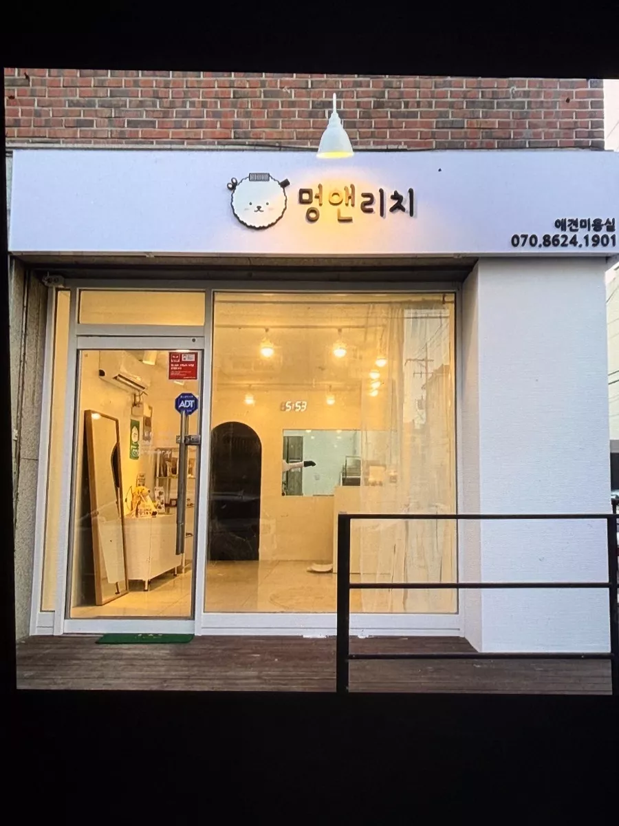 부천 원종동 도보3분거리 애견미용실 양도합니다