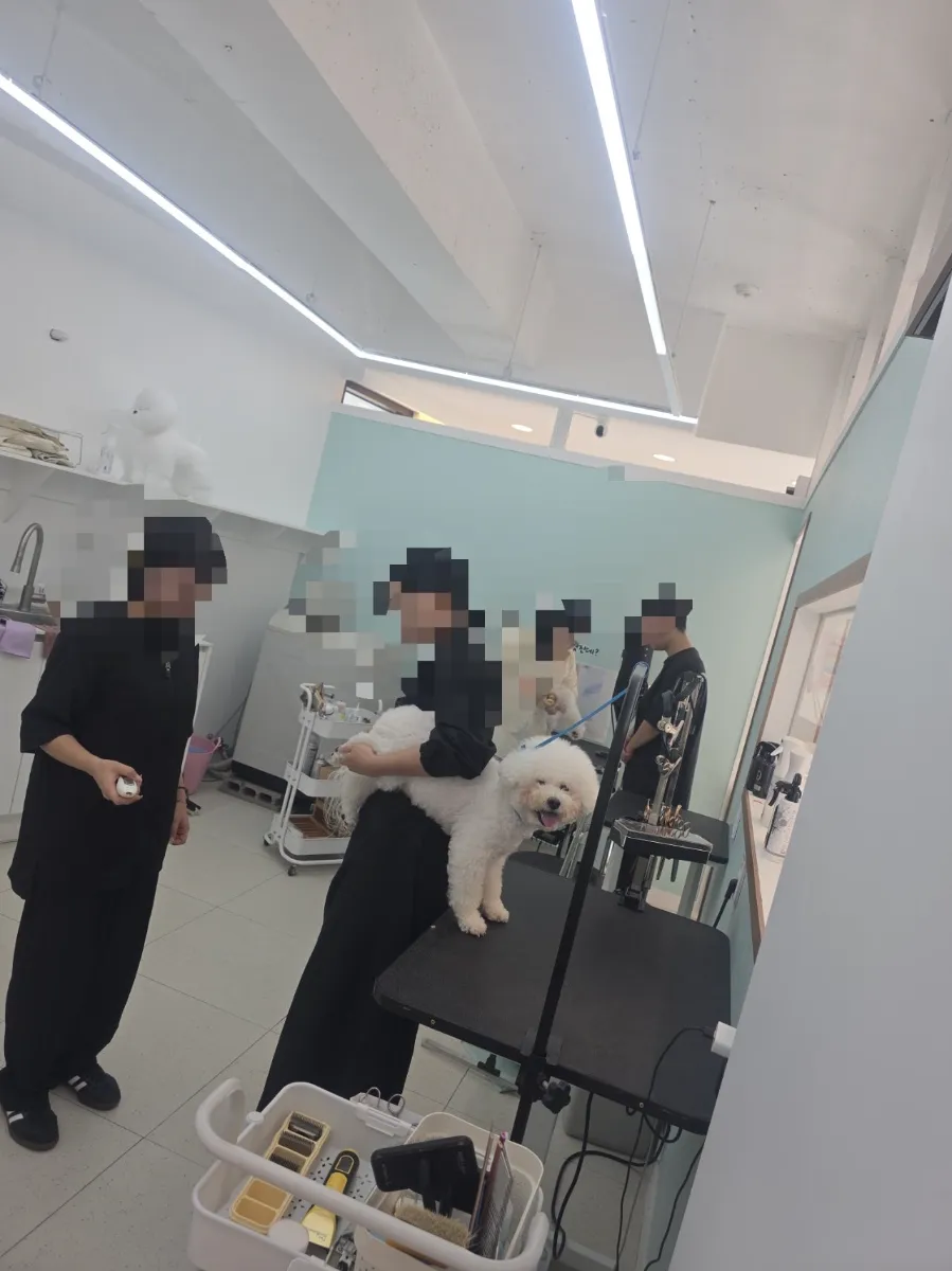 미용실내부